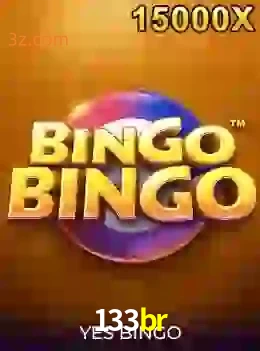 bingobingo
